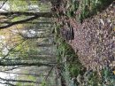 Montée à l'Ermitage